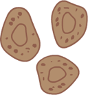 Phosphate-dissolving bacteria