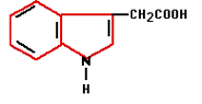 articles-planthormones_text_1