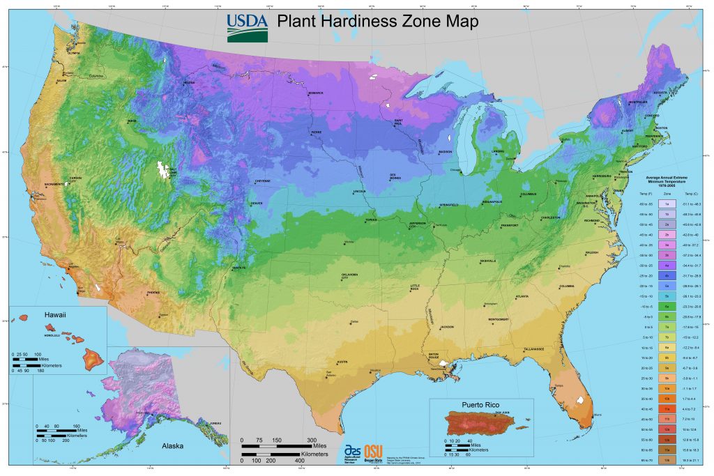 all_states_halfzones_poster_300dpi