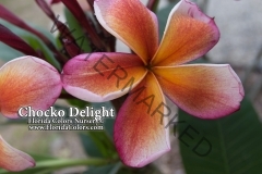 Chocko-Delight_0225-2.jpg