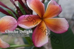 Chocko-Delight_0225.jpg