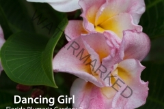 Dancing-Girl_7075.jpg