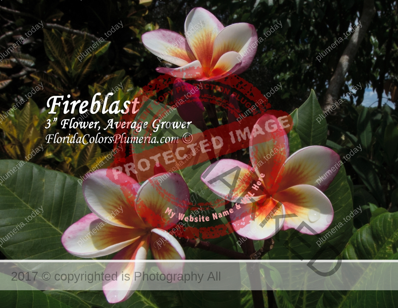 Fireblast_2120.jpg