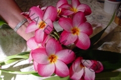 LAKES PLANT (2).jpg