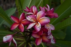 Mary_Moragne_PF_0316.jpg
