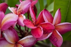 Mary_Moragne_PF_0318.jpg